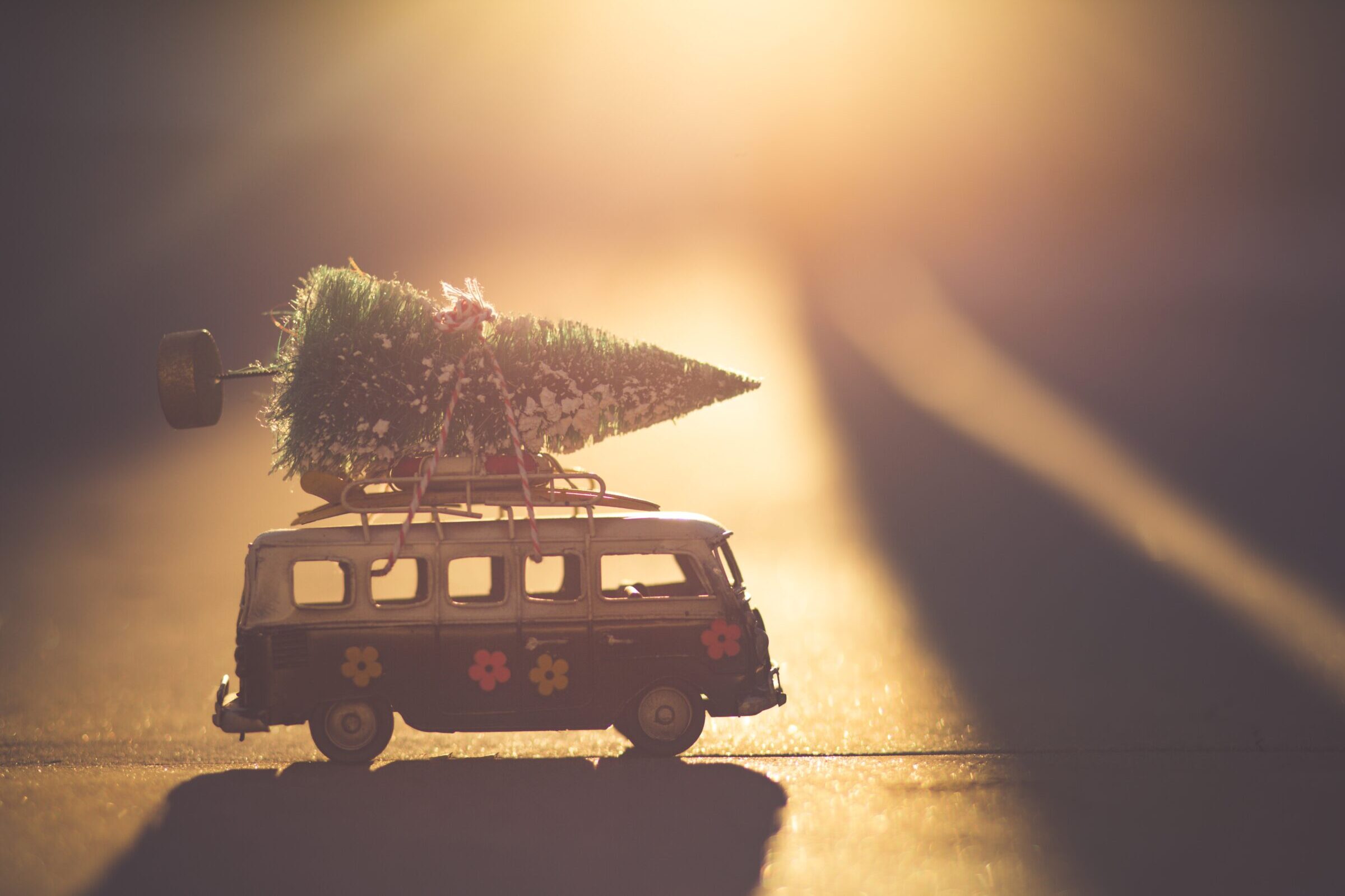 Mehr über den Artikel erfahren Weihnachtsbaumverkauf